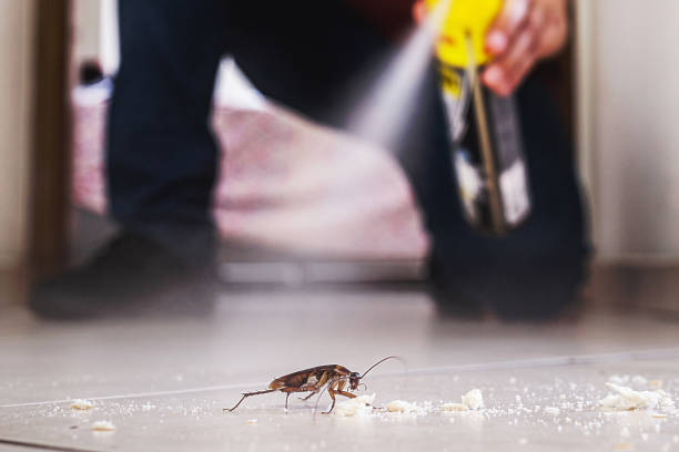 Best Pest Removal Services  in Ashland, AL