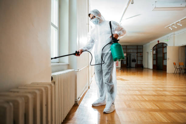 Best Wasp Removal Services  in Ashland, AL