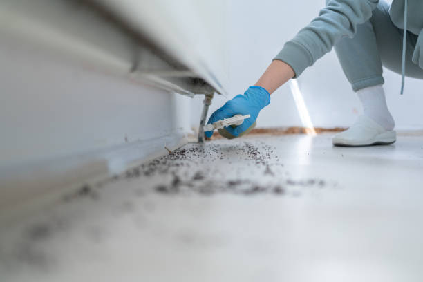 Best Exterminator Services  in Ashland, AL